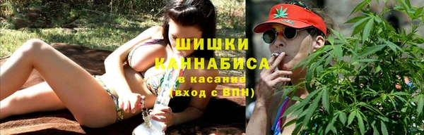 таблы Богородицк