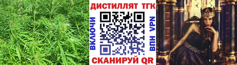 продажа наркотиков  Кингисепп  ТГК THC oil 