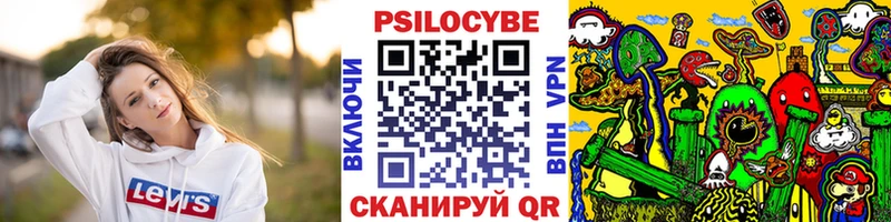 Псилоцибиновые грибы мицелий  Кингисепп 